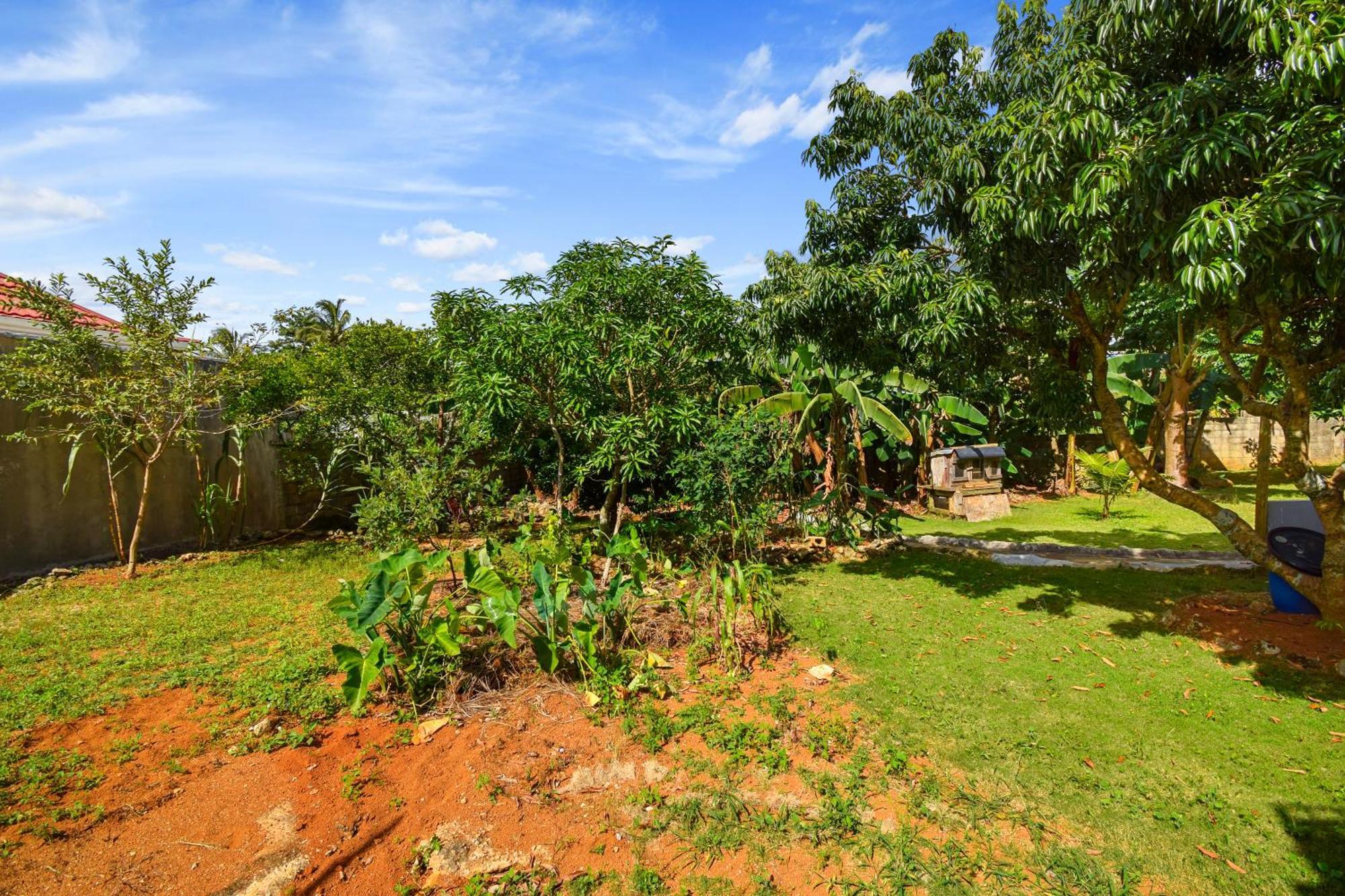 Harriott Heights Apartment แมนเดอวิลล์ ภายนอก รูปภาพ