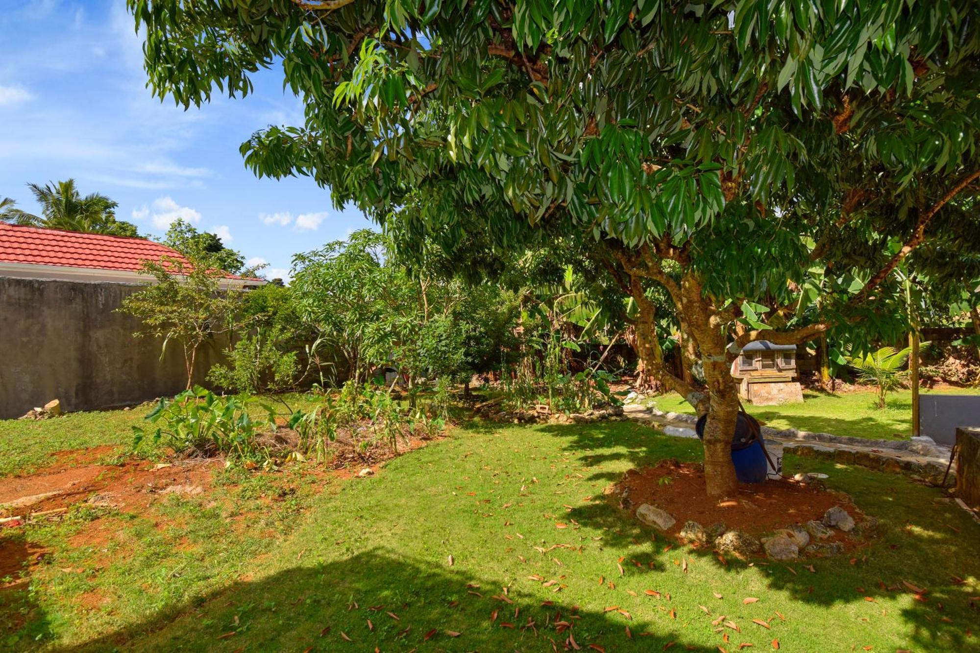 Harriott Heights Apartment แมนเดอวิลล์ ภายนอก รูปภาพ